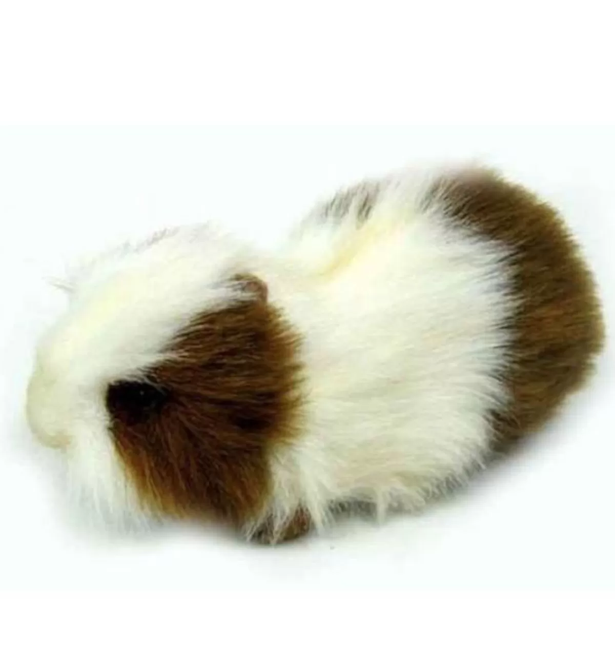 Sale Hansa knuffels Hansa Cavia 3735 Red-Brown / White 20 × 9 × 10 Cm