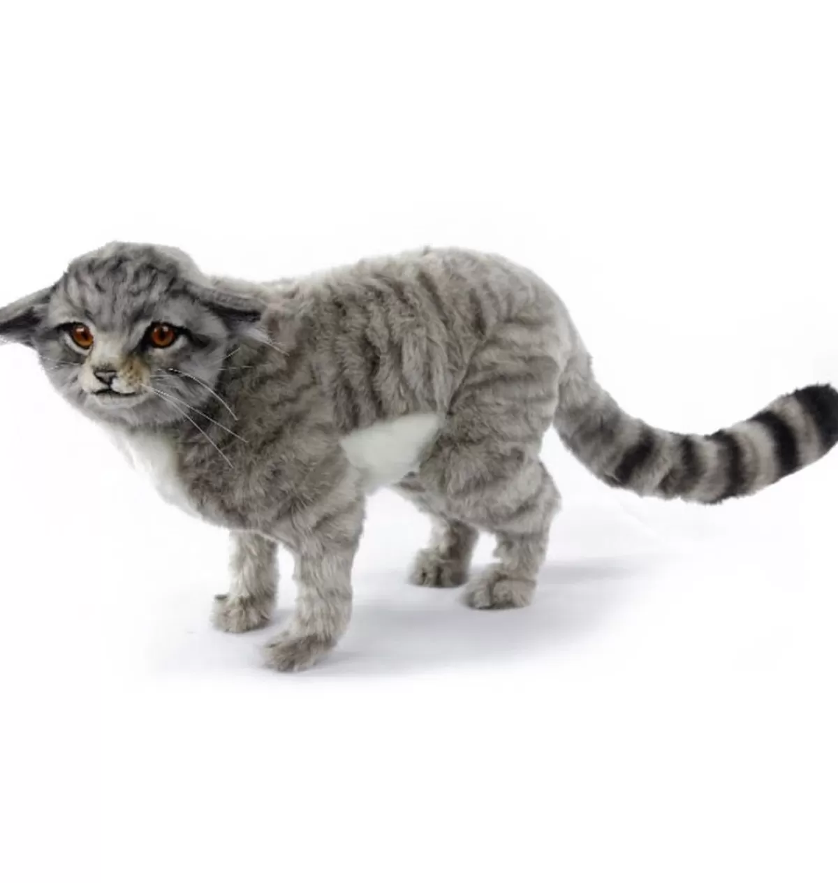 Shop Hansa knuffels Hansa Creation Gray Scottish Wildcat